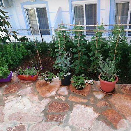 Helen'S House Apartment Ксамил Екстериор снимка