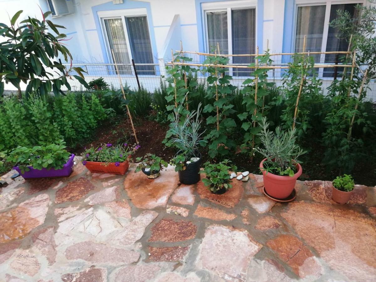 Helen'S House Apartment Ксамил Екстериор снимка